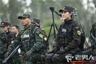 利刃出击在线观看  第1张